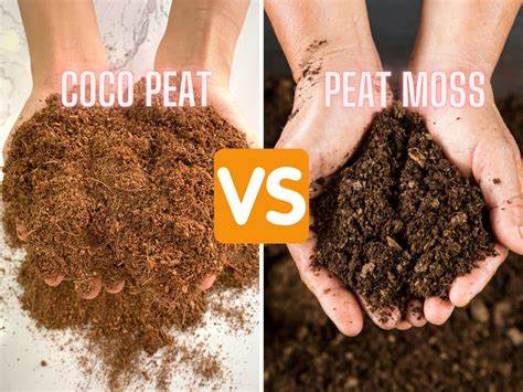 Coco Coir vs. Sphagnum Peat Moss: Choosing the Best Medium for Your OGO™ ORIGIN Compost Toilet