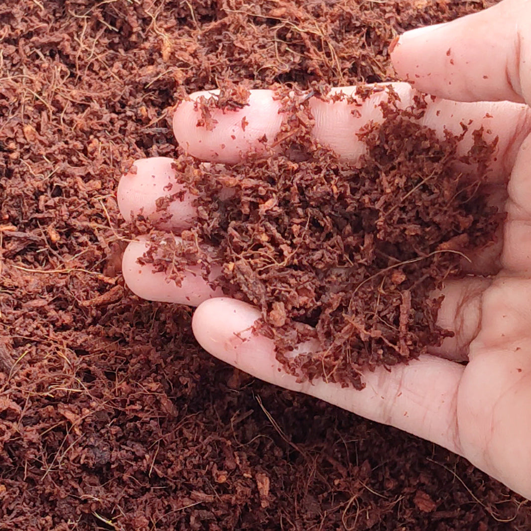 The Best Composting Medium for Off-Grid Travel