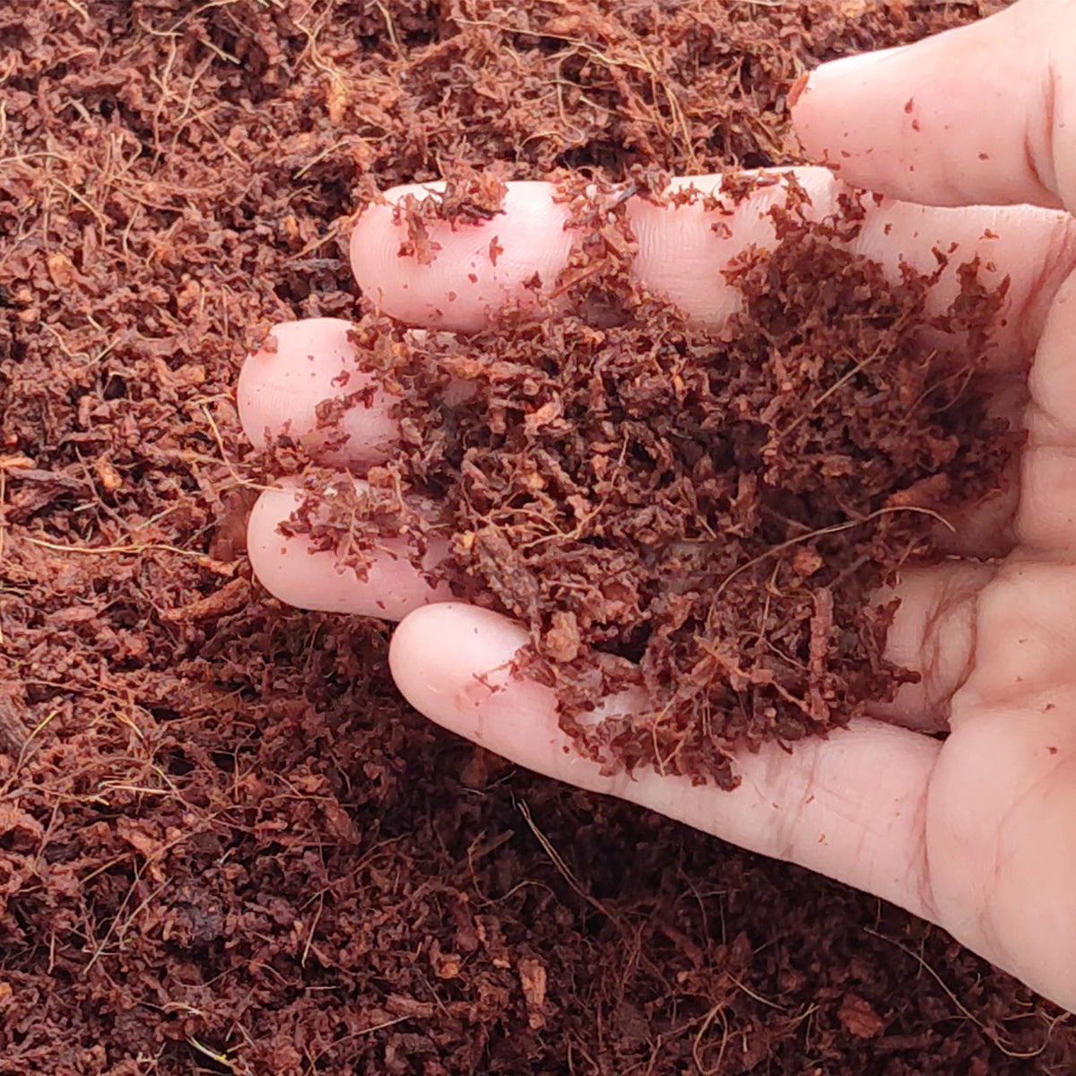 The Best Composting Medium for Off-Grid Travel