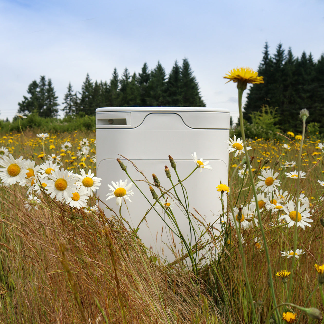 How Composting Toilets Work (vs. Chemical Toilets)